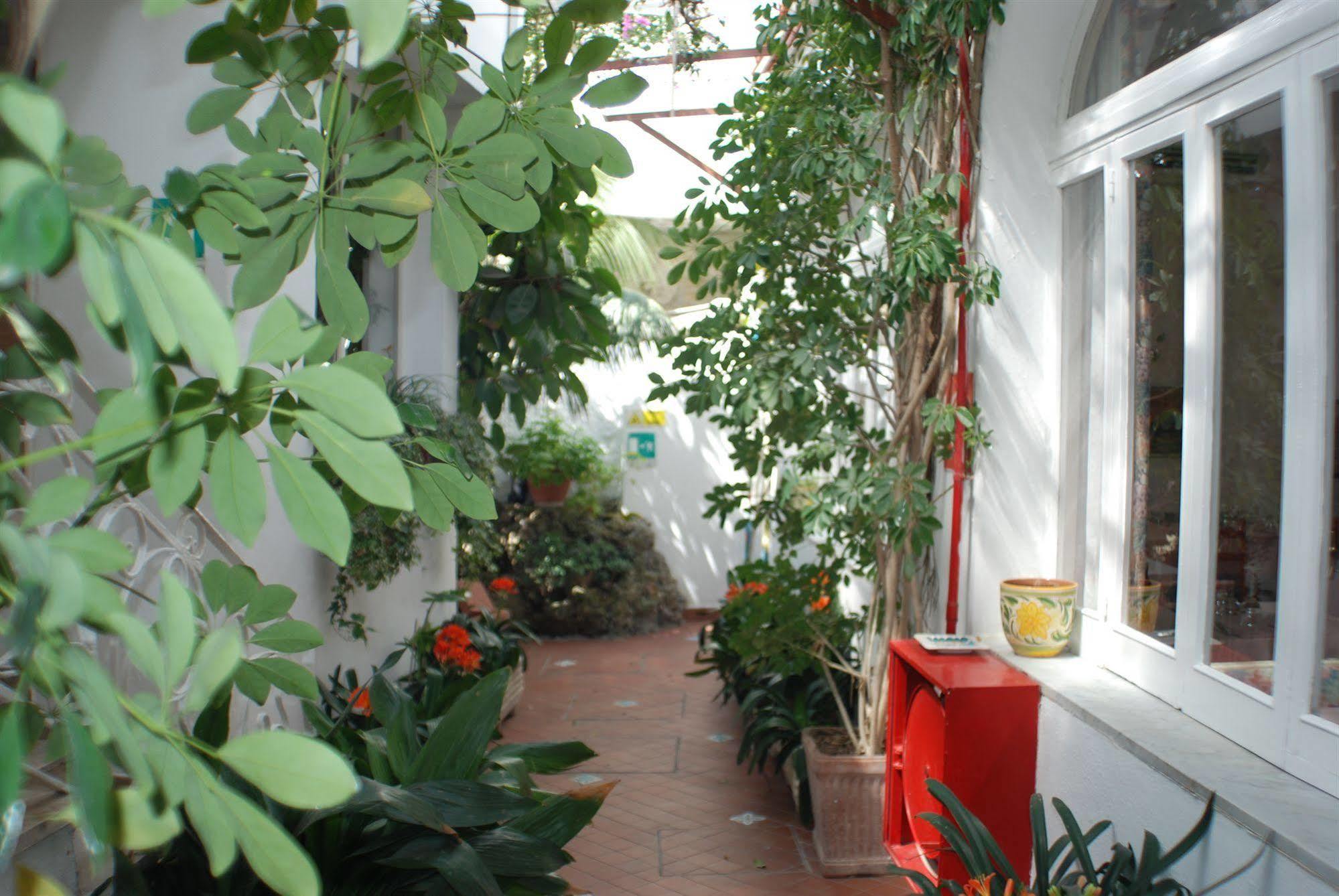 Hotel La Palma Sant'Angelo  Buitenkant foto