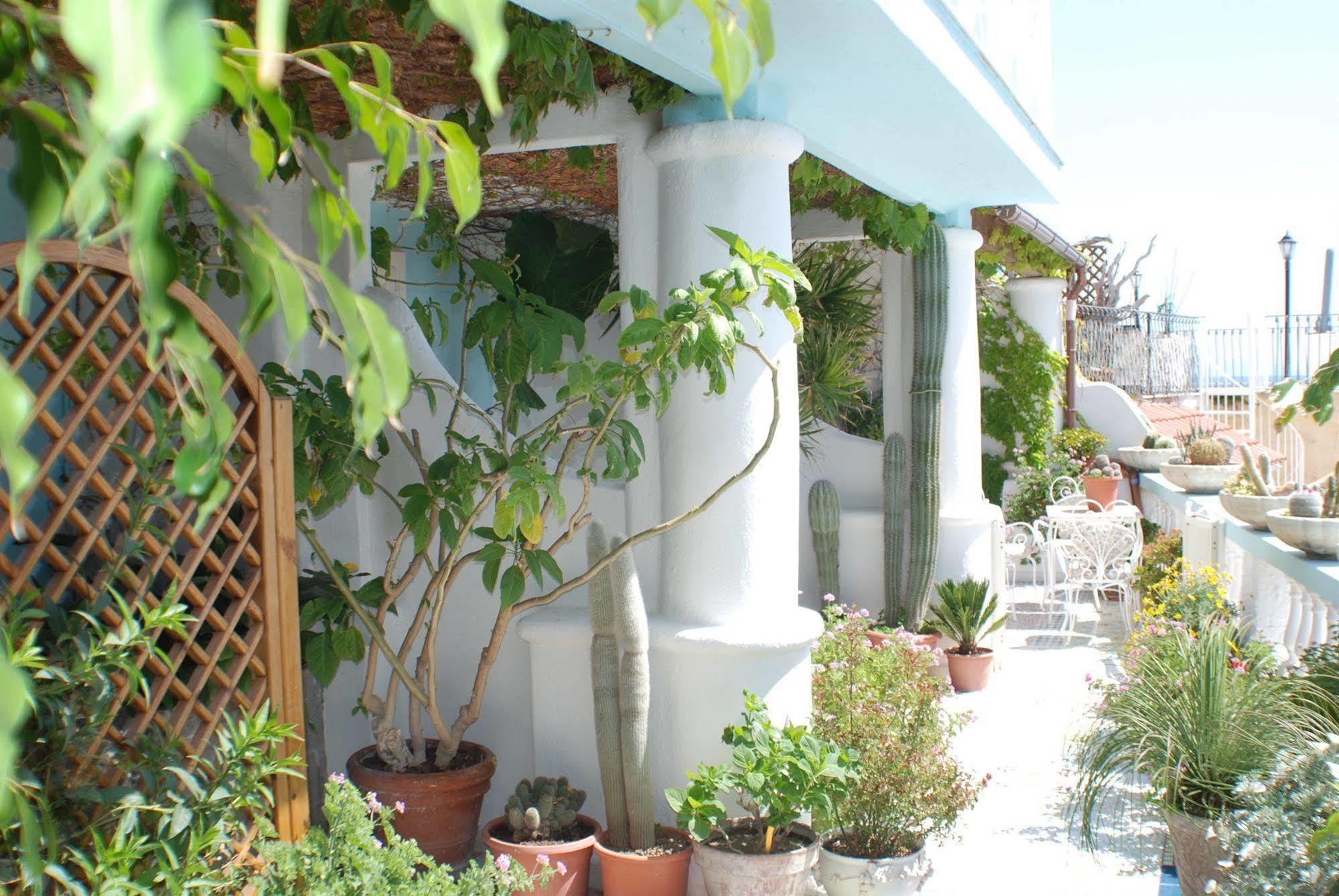 Hotel La Palma Sant'Angelo  Buitenkant foto